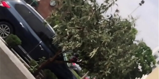 ass,mexican